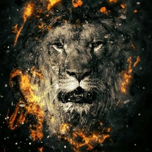 Meet your Posher, Ray